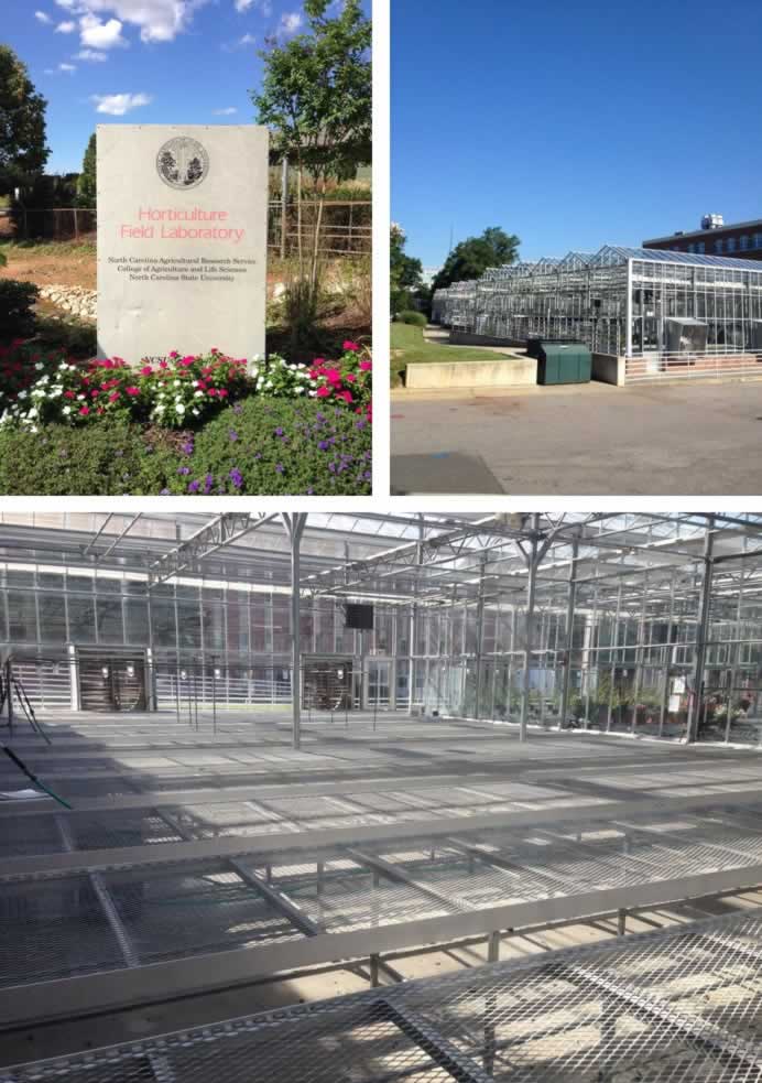 HFL facilities, greenhouses and headhouse