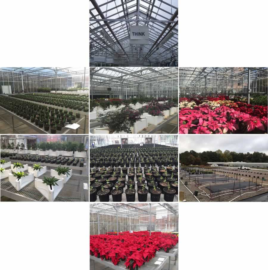 Image montage of substrate trials